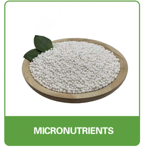 MICRONUTRIENTS