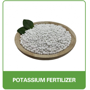 FERTILIZANTE DE POTÁSSIO