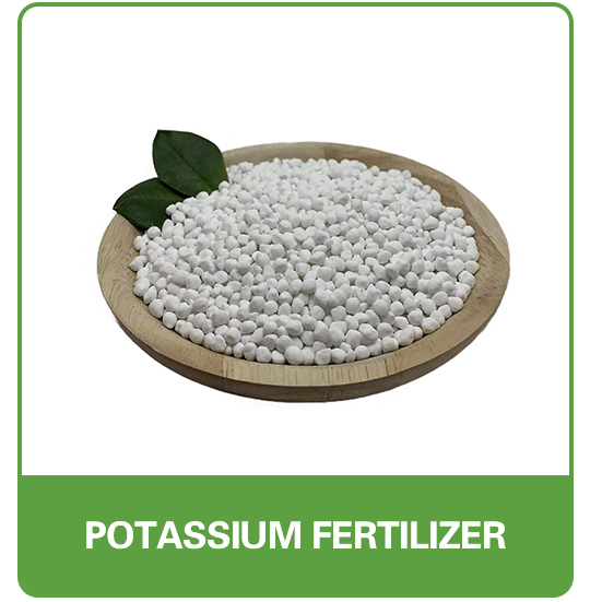 POTASSIUM-FERTILIZER